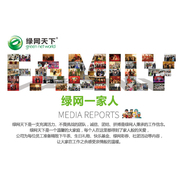 绿网天下（福建）网络科技股份有限公司 荣誉资质与企业发展概览